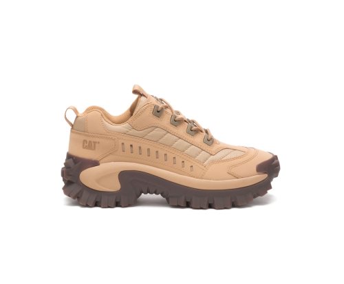 Zapatos Casuales Caterpillar Intruder Hombre Marrones | Argentina SQFWL-9308